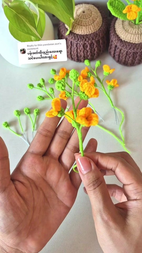 TikTok video thumbnail by crochetsu2