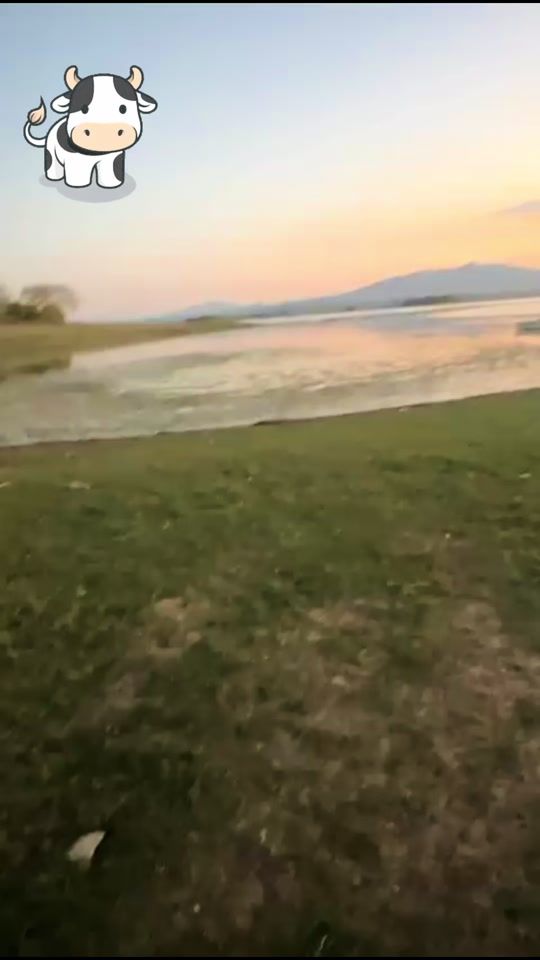 TikTok video thumbnail by kikke.leon
