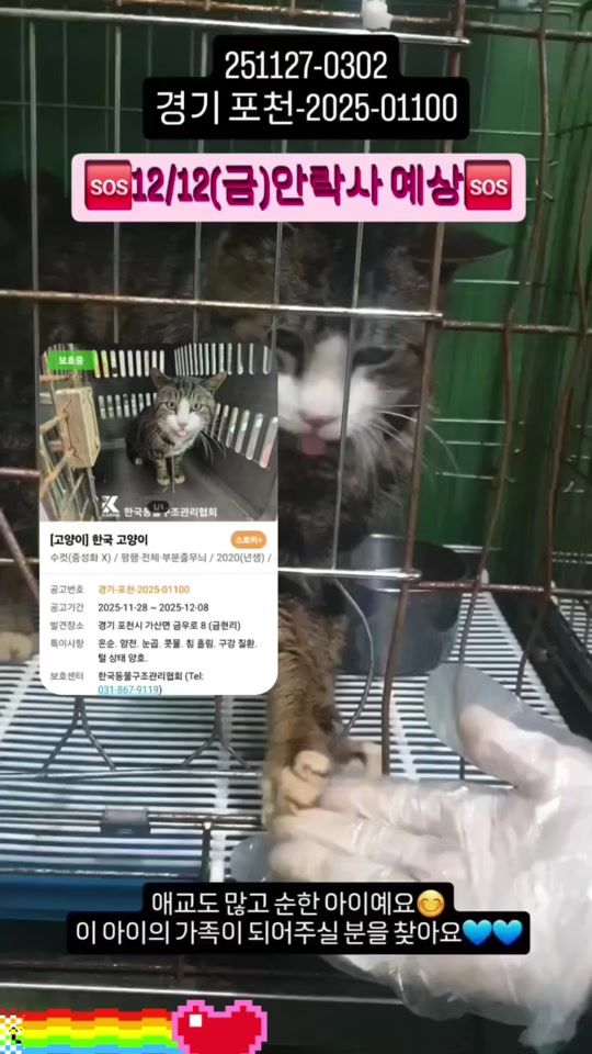 TikTok video thumbnail by deagu_minblli1