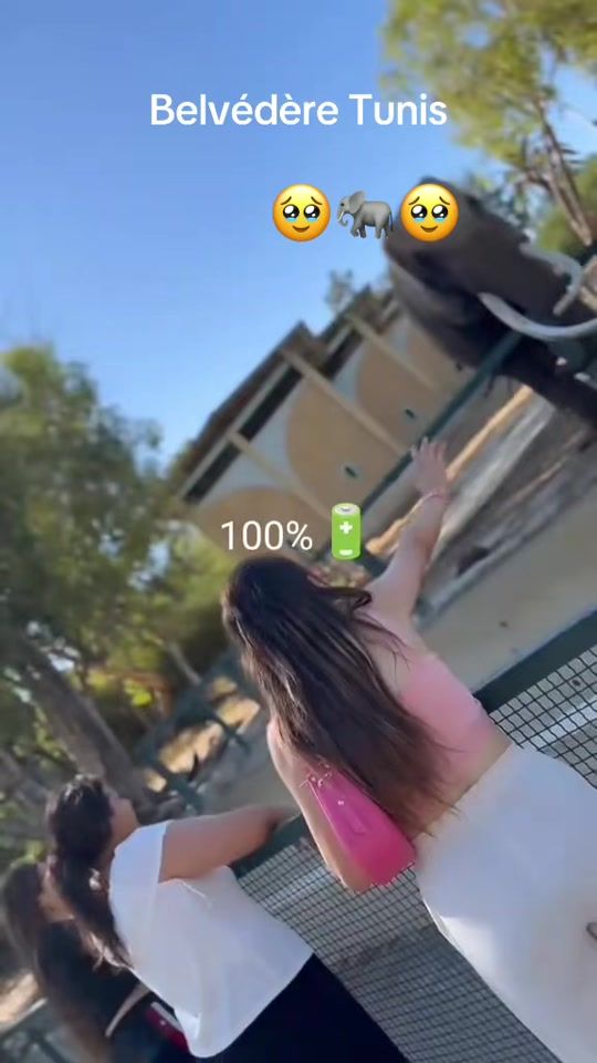 TikTok video thumbnail by minyam52