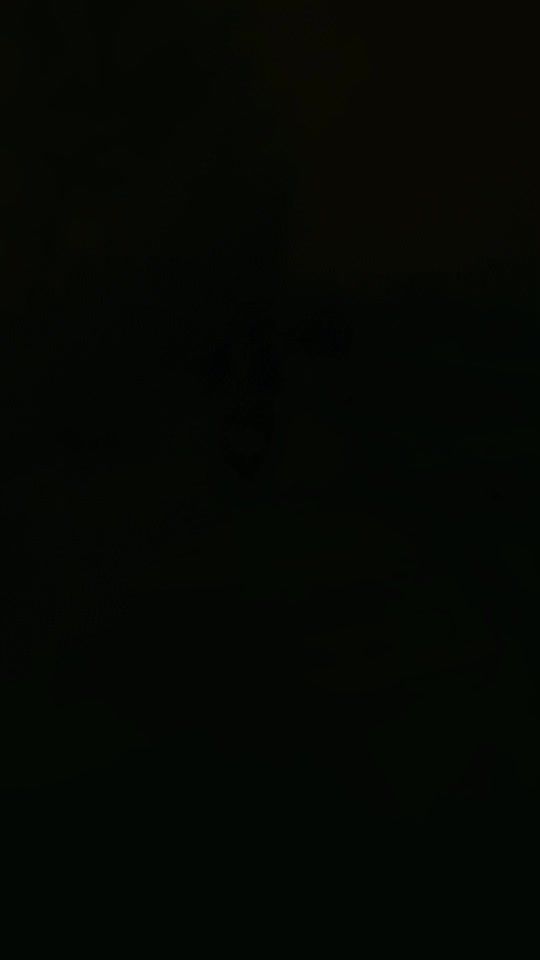 TikTok video thumbnail by khalidbrandbk05