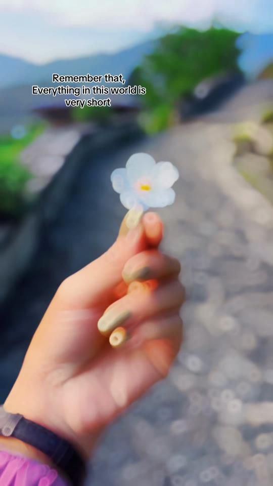 TikTok video thumbnail by deathrose2025