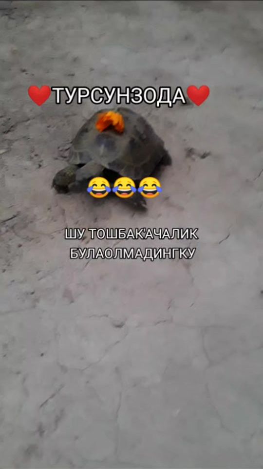 TikTok video thumbnail by _711madamchik