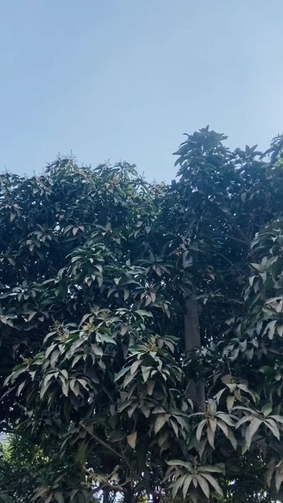 TikTok video thumbnail by ashik_deoyana