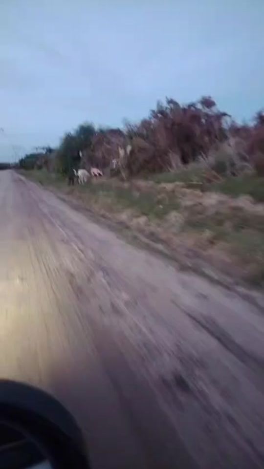 TikTok video thumbnail by tatopulus