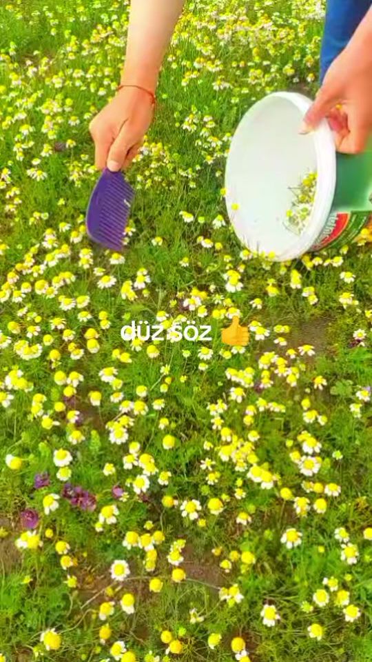 TikTok video thumbnail by sadelik159