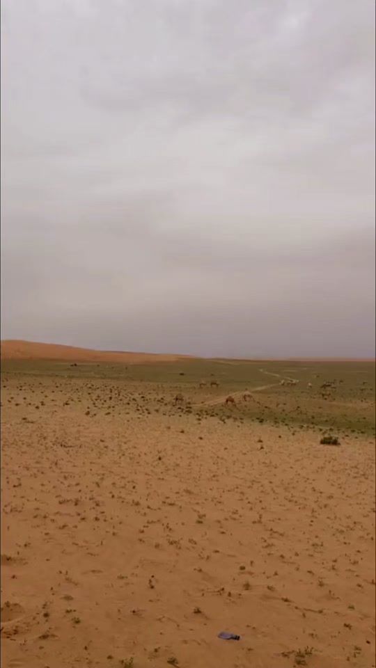 TikTok video thumbnail by gazzi_.24