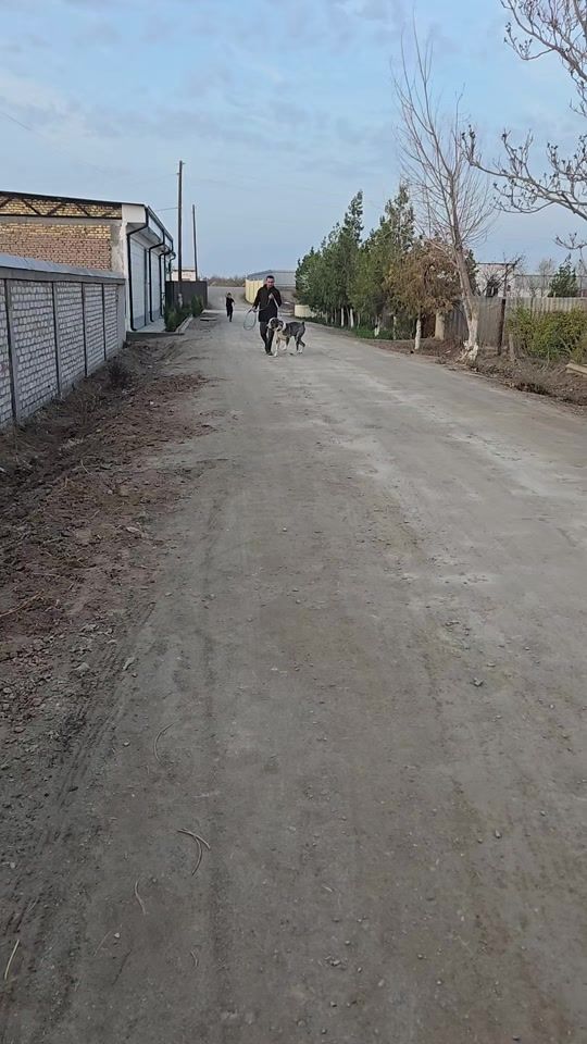 TikTok video thumbnail by patrak47