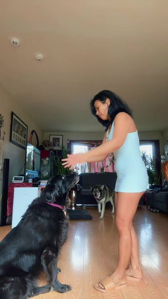 TikTok video thumbnail by sher_reels