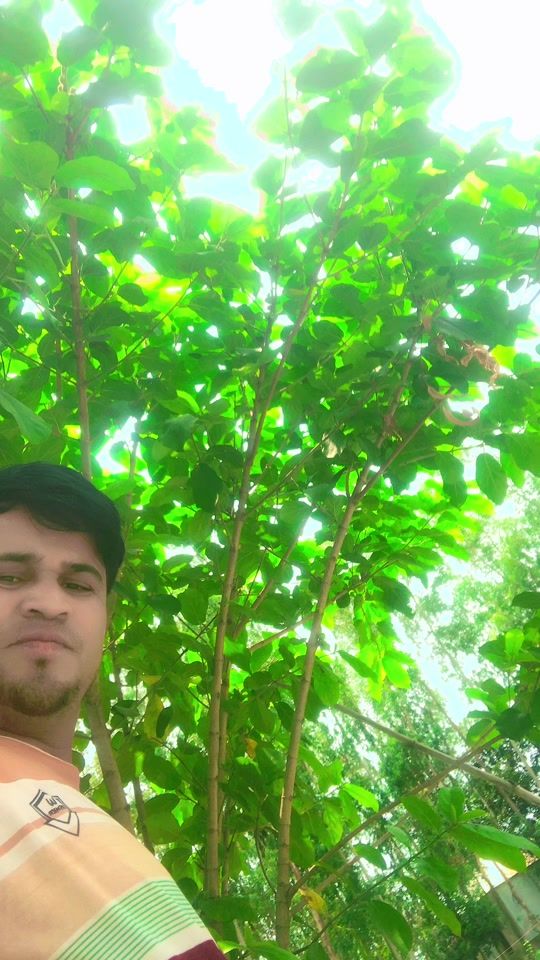 TikTok video thumbnail by sharifuddi6