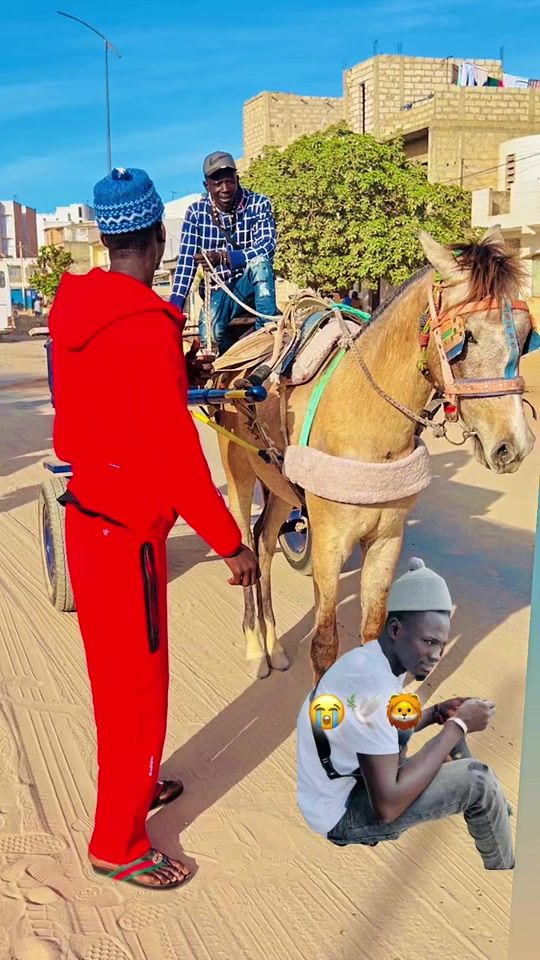 TikTok video thumbnail by wiiz139