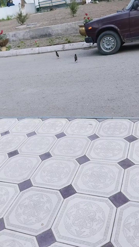 TikTok video thumbnail by user749292726