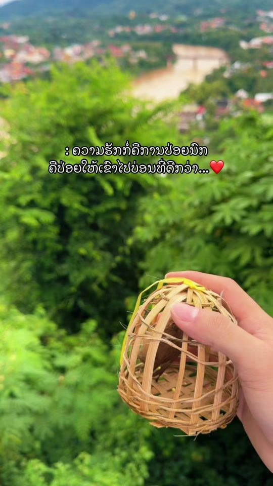 TikTok video thumbnail by kong_mt0