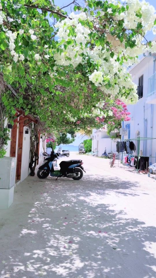 TikTok video thumbnail by ainthahmed