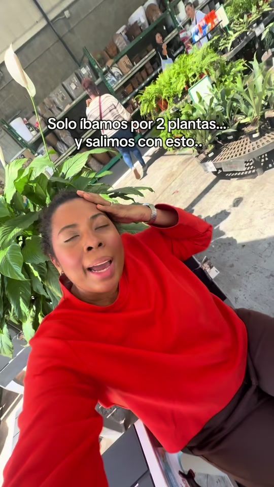 TikTok video thumbnail by irislchristmann