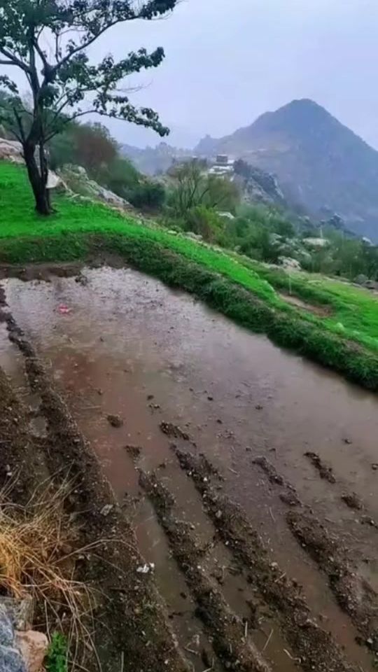 TikTok video thumbnail by 33x003