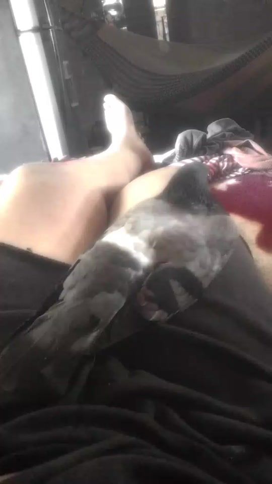 TikTok video thumbnail by uzaki207