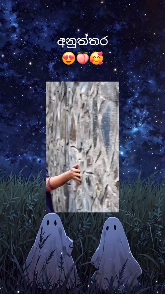 TikTok video thumbnail by amayawickramasinghe
