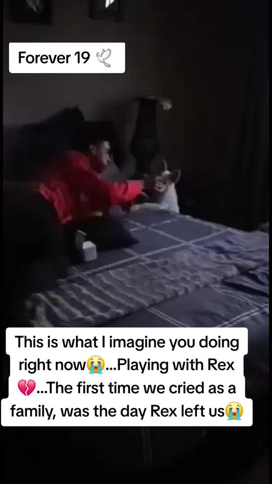 TikTok video thumbnail by dattboii_smxl3z