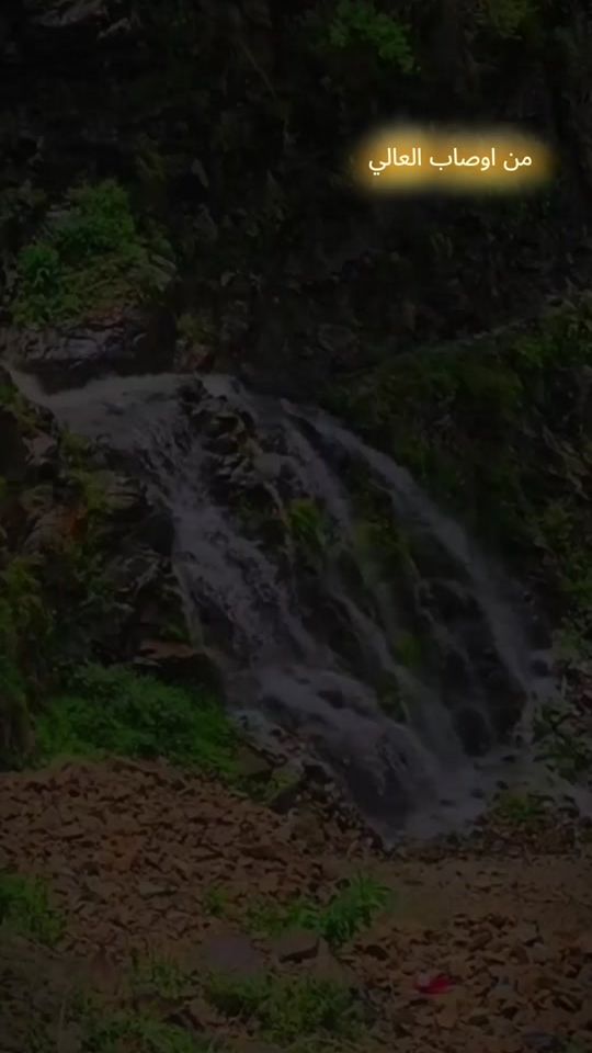 TikTok video thumbnail by to655hl