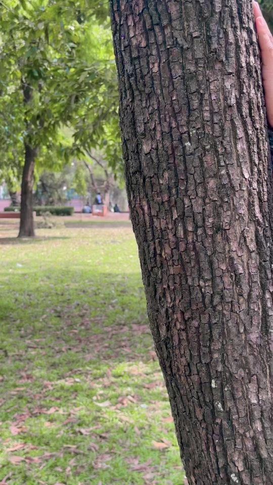 TikTok video thumbnail by souravdada5