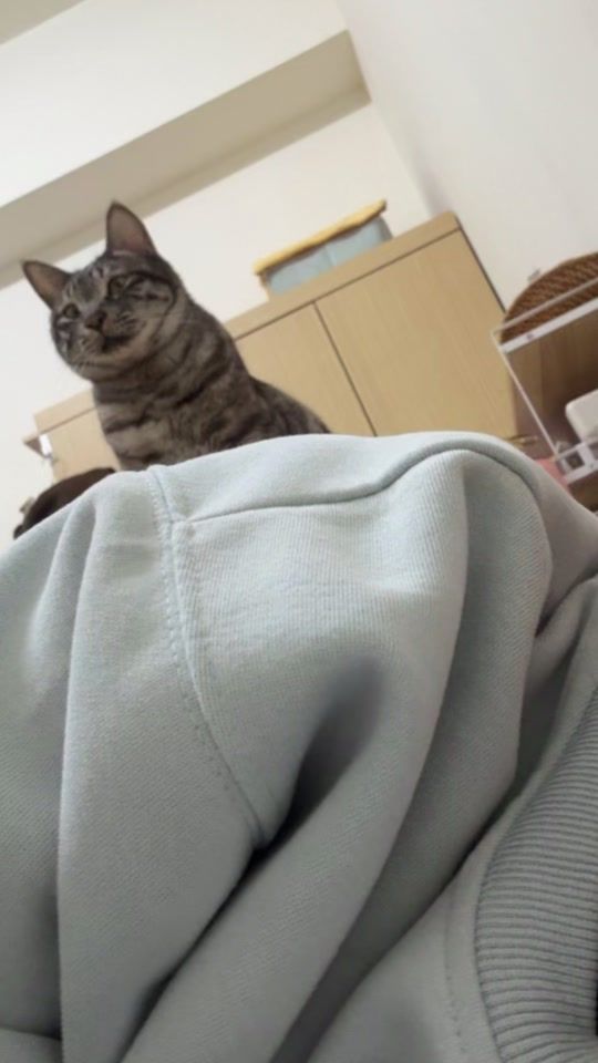TikTok video thumbnail by coolbi.bobo