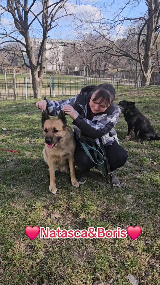 TikTok video thumbnail by adopt_me_moldova