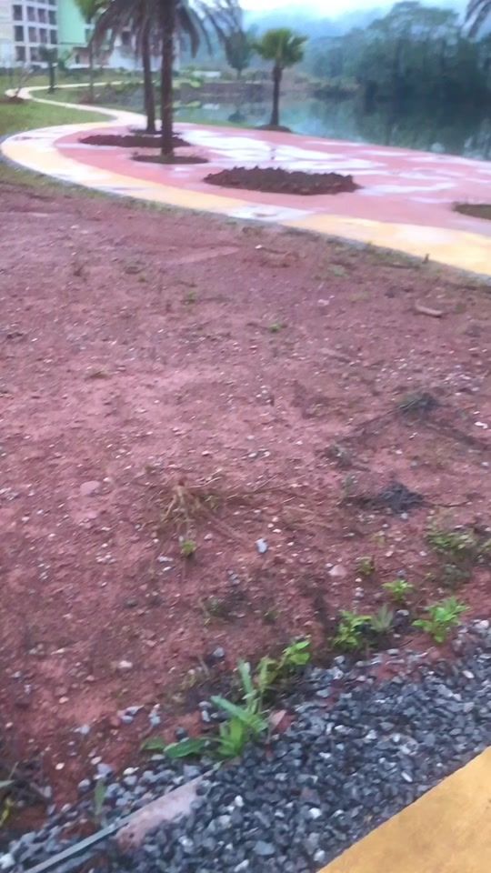 TikTok video thumbnail by souk.chanthavong0