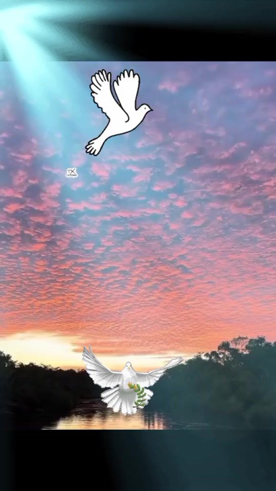 TikTok video thumbnail by quikeck