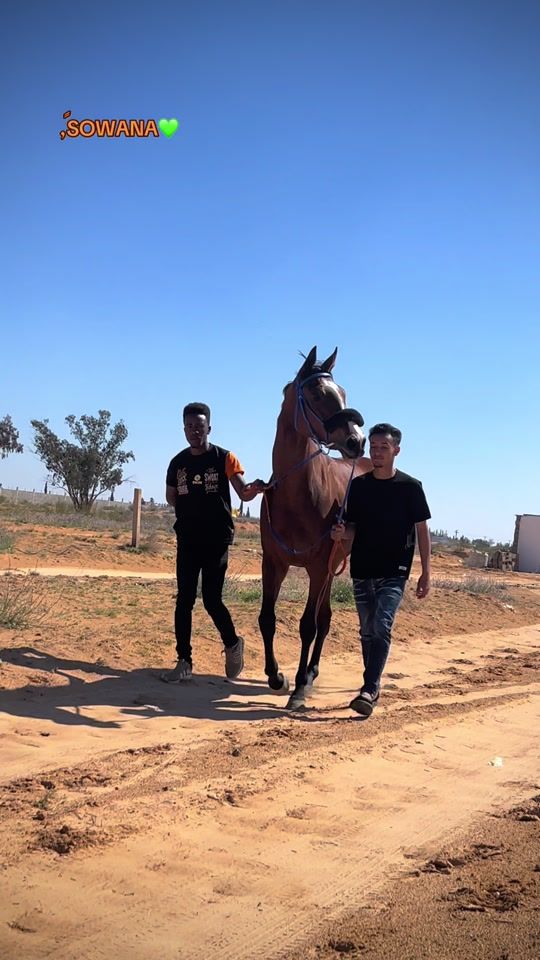 TikTok video thumbnail by mahamedrhooma