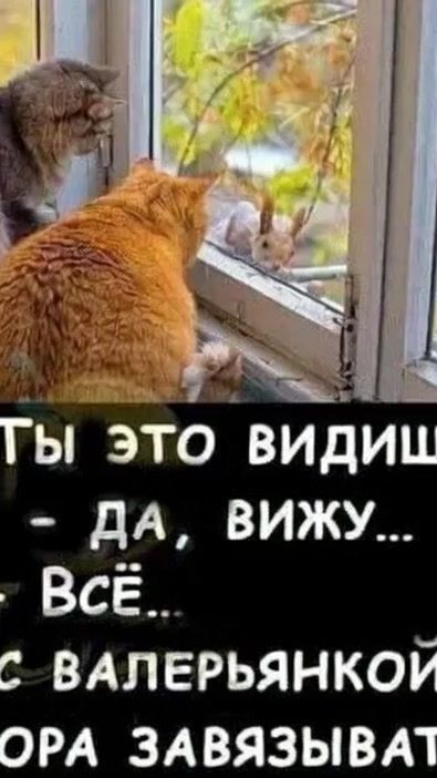 TikTok video thumbnail by ira_777_6
