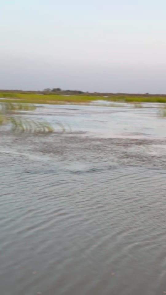 TikTok video thumbnail by syed_zaada_sain