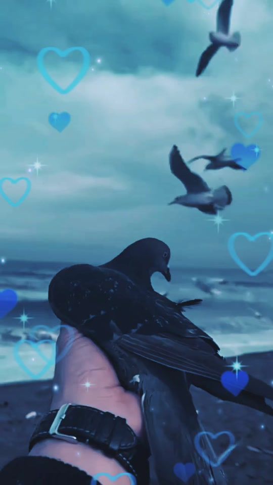 TikTok video thumbnail by birmanlimbu0