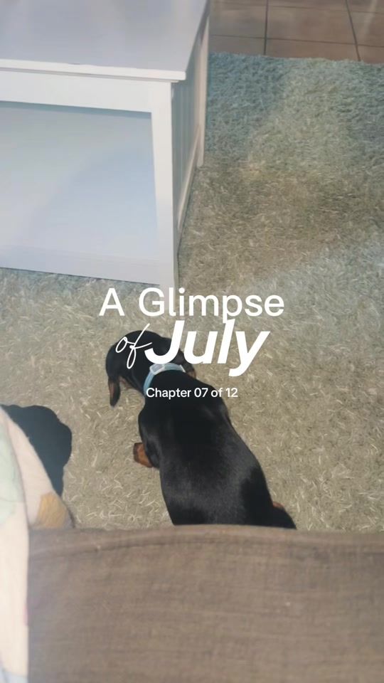TikTok video thumbnail by kvbjir