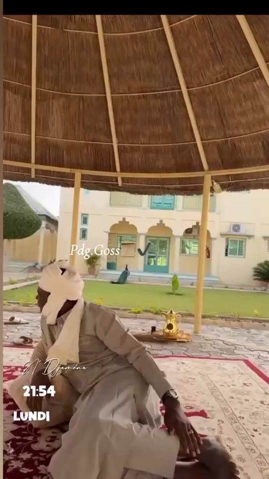 TikTok video thumbnail by pdg.goss