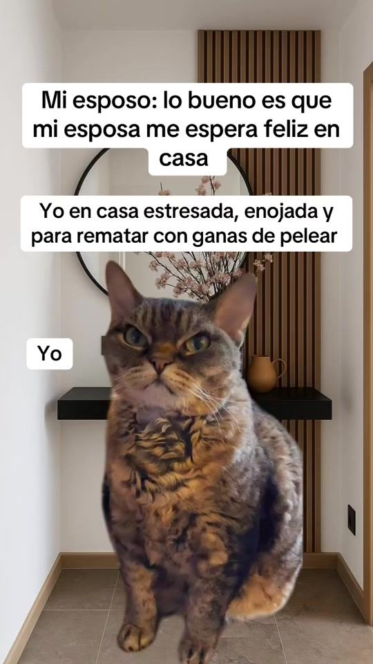 TikTok video thumbnail by yuniaabadmendez