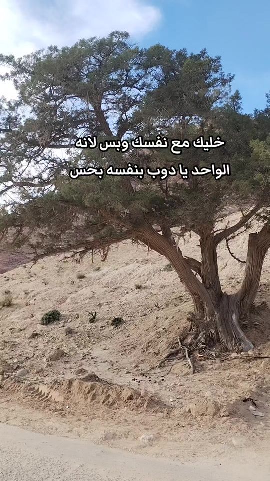 TikTok video thumbnail by alaseer69