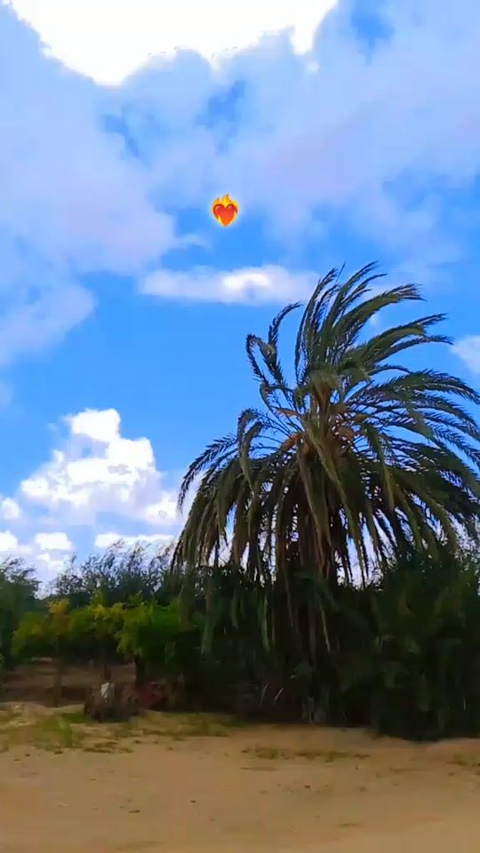 TikTok video thumbnail by lbouzidiya_nourhen