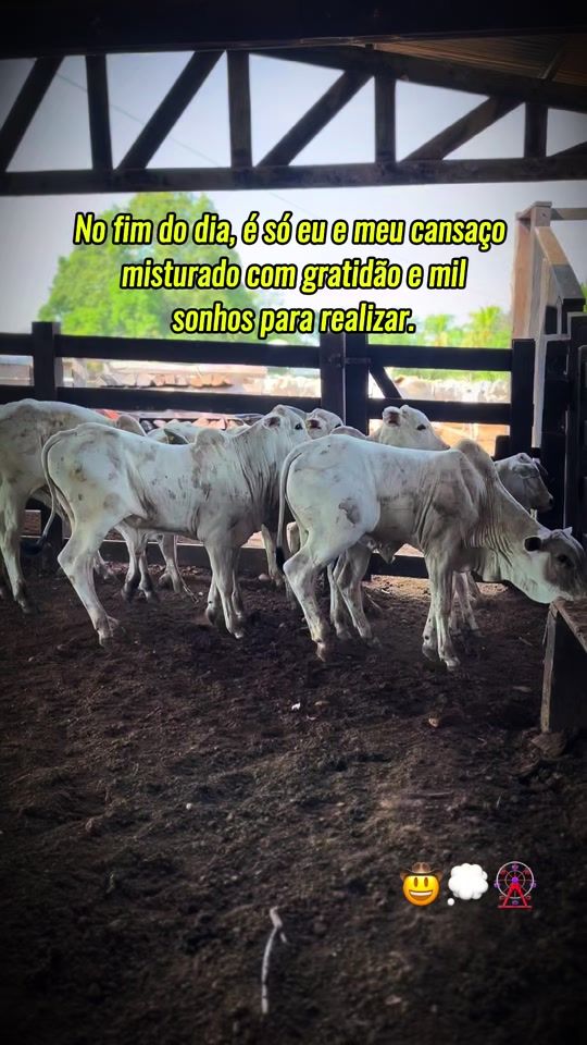 TikTok video thumbnail by diogo_dr_