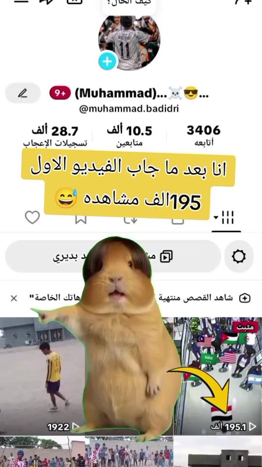 TikTok video thumbnail by muhammad.badidri