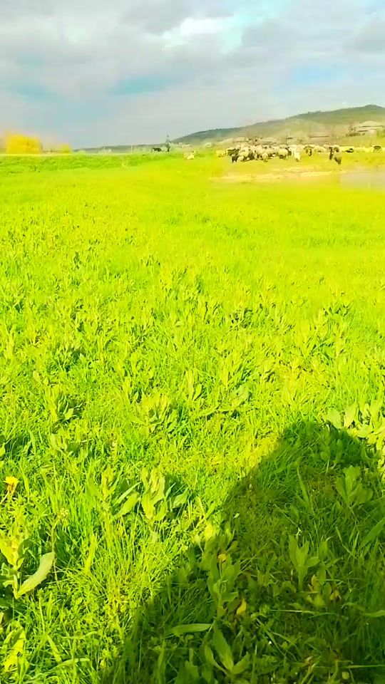 TikTok video thumbnail by ww.n.k.stina