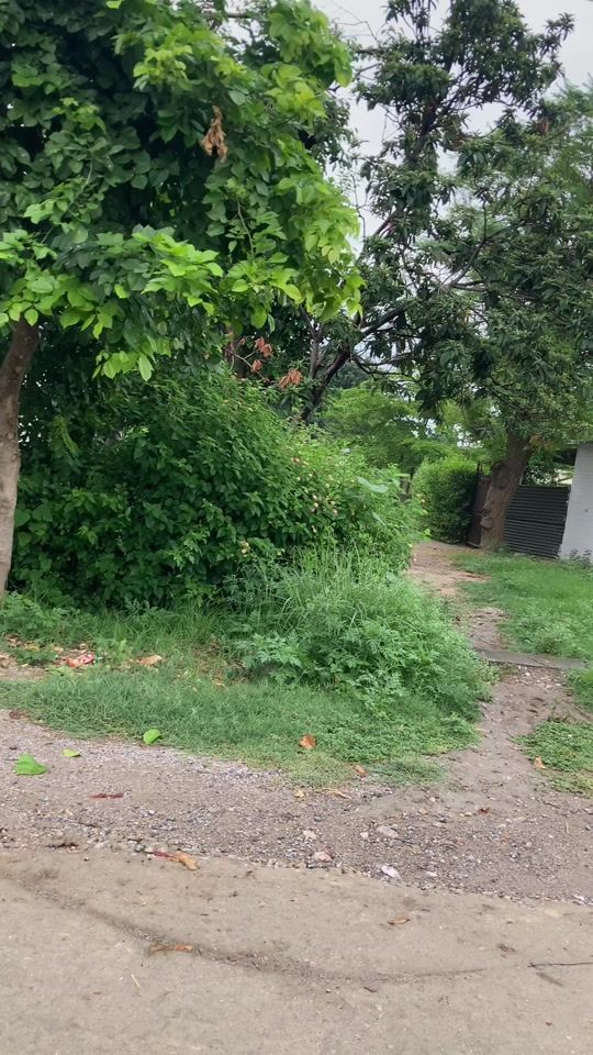 TikTok video thumbnail by aik.tari.yad