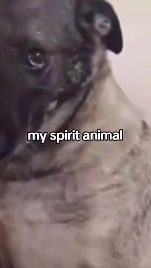 TikTok video thumbnail by lirase