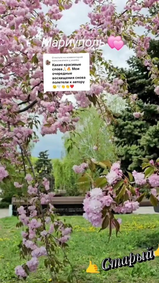 TikTok video thumbnail by papa_dima_01
