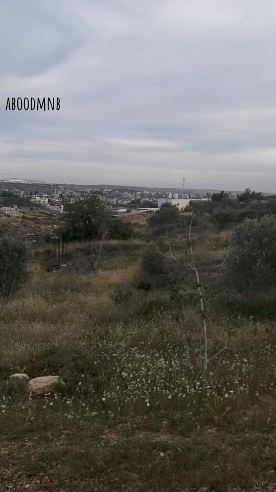 TikTok video thumbnail by aboodmnb