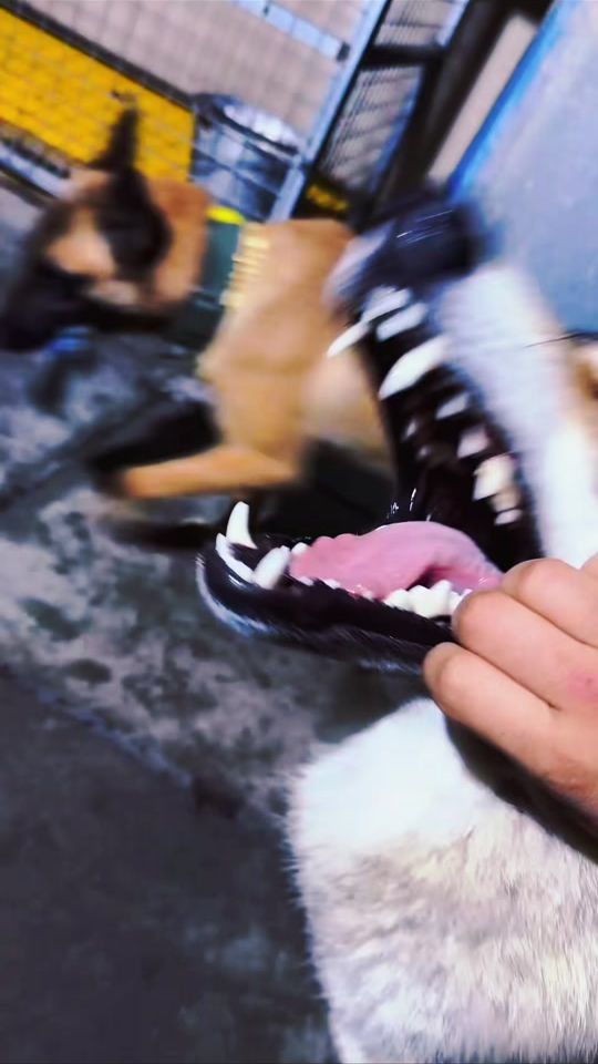TikTok video thumbnail by 44hr4