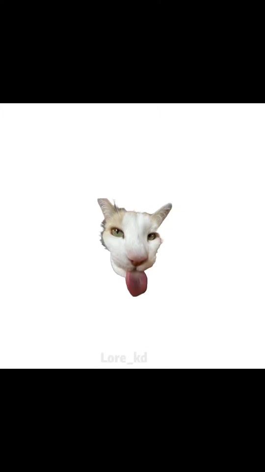 TikTok video thumbnail by lore_kd