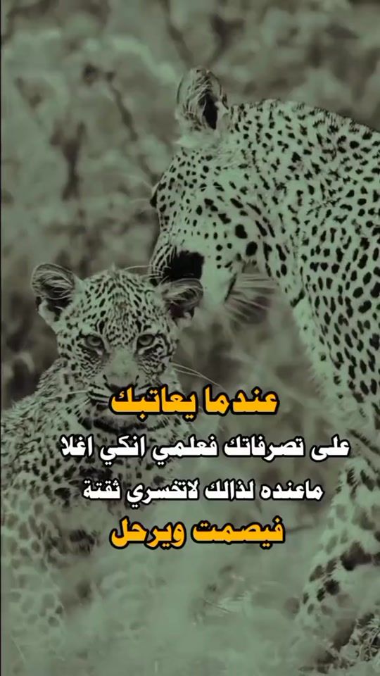 TikTok video thumbnail by alkhaaldi0911