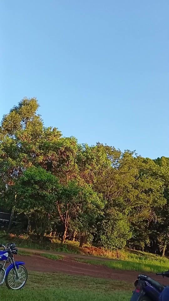 TikTok video thumbnail by brahian_21_