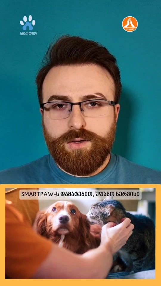 TikTok video thumbnail by pawcast_